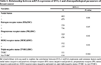 Table 1: Relationship between mRNA expression of DVL-1 and clinicopathological parameters of breast cancer