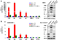 Figure 2: The CD133low population displays an interferon response, which can be suppressed by exogenous CD133. 