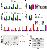 Figure 4: EZH2 suppresses ERVs, LINE-1, and an interferon response downstream of NELL2 signaling. 