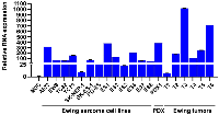 Figure 3: Slit2 RNA expression in Ewing sarcoma cell lines and tumors. 