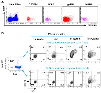 Figure 2: NeoAg-specific T-cells induced by PDC*line cells have an effector/memory phenotype, are functional and specific to the mutated antigen.