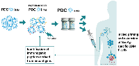 Figure 3: The use of PDC*vac platform to develop NeoAg-based cancer vaccines.