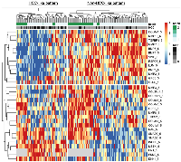 Figure 2: Heatmap showing TGF-β pathway-related serum proteomic markers associated with HCC in cirrhotic patients.