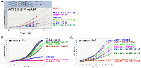 Figure 7: cdc42 does not determine chemotherapy sensitivity in Ewing sarcoma.