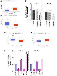 Figure 2: The level of MYC mRNAs following miR-377 or scrambled-miR transfection.