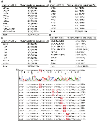 Figure 2: Engineering missense or nonsense epigenetic regulator mutants by P3a site-specific mutagenesis.