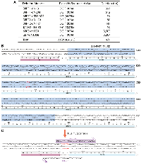Figure 4: Seamless deletion of small and large DNA fragments by P3a cassette mutagenesis.