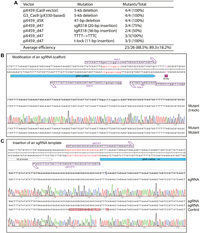 Figure 6: P3a site-directed mutagenesis of Cas9 and guide RNA vectors for genome editing.