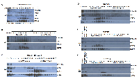 Figure 1: The presence of HSP90-associated High Molecular Weight Network Complex (HMWNC) in CML leukemia  cells.